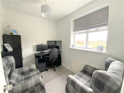 Picture 20